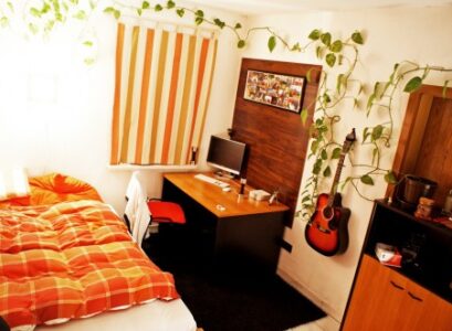 Modern Teenage Boys Interior Design Ideas