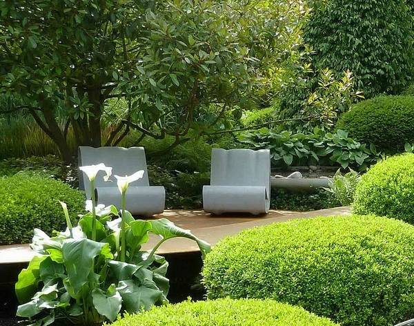 landscape design ideas garden decor plants