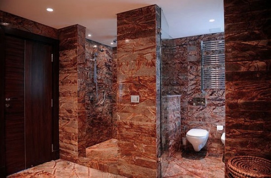 Fabulous Walk in Shower bathroom-design-idea