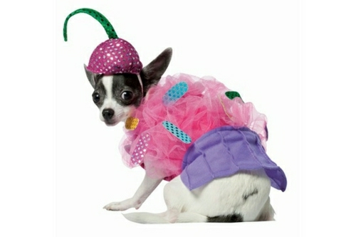 Dog Fairy Costume Carnival Halloween Disguise