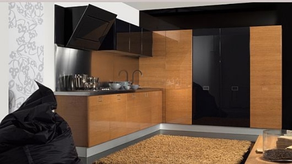 modern kitchen cabinets ideas black wood cabinets
