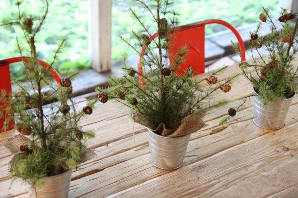 rustic table centerpiece small potted trees