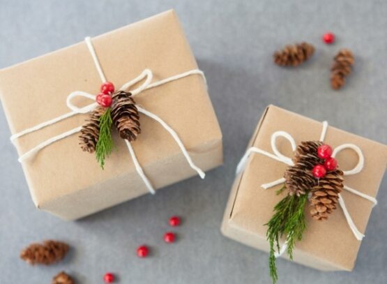 Christmas-gift-wrapping- ideas-natural-materials-pine-cones-branches