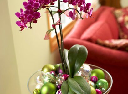 Indoor-christmas-decoration-flowers-orchid-coloured-ornaments