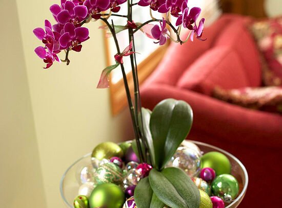 Indoor-christmas-decoration-flowers-orchid-coloured-ornaments