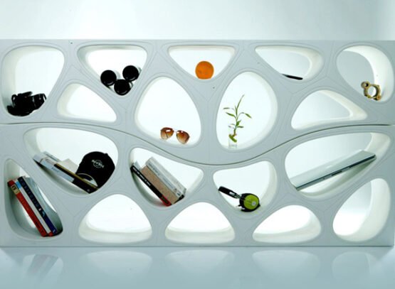 Modern-curved-shelf-Twin-Shelves-gt2P-elegant-area-divider