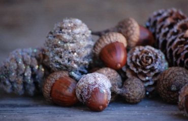 Nature-crafts-Christmas-table-decorations-pinecones