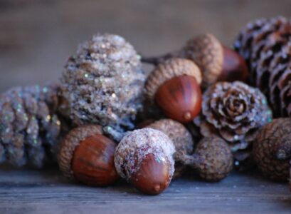 Nature-crafts-Christmas-table-decorations-pinecones