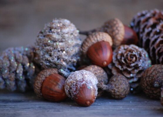 Nature-crafts-Christmas-table-decorations-pinecones