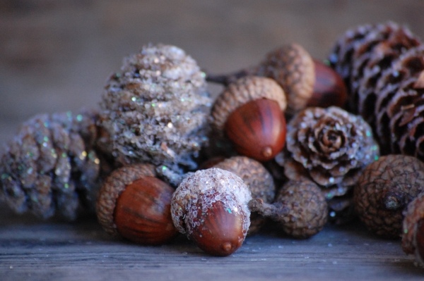 Nature crafts Christmas table decorations pinecones
