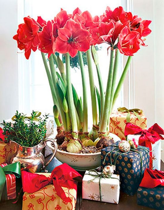 blossoming flowers and christmas presents
