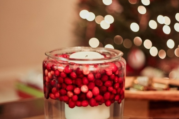 christmas cranberry decoration ideas