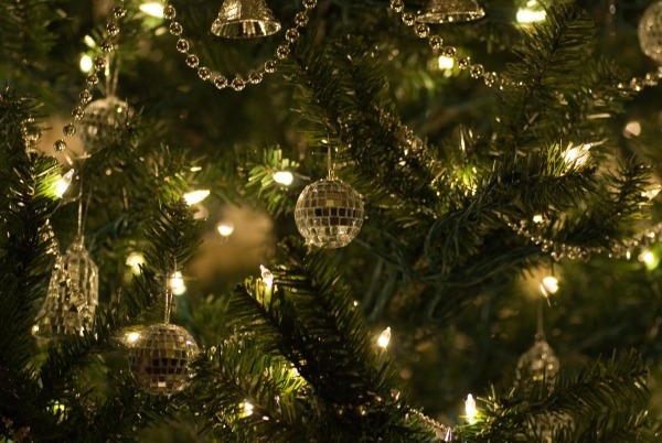 festive tree lights shining bright on the tree