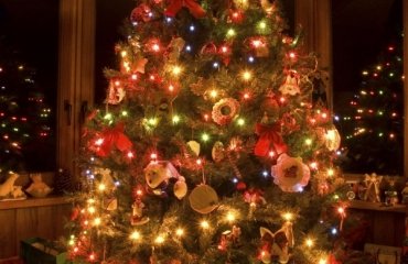 christmas-tree-lighted-with-beautiful-colour-lights