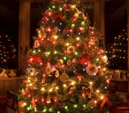 christmas-tree-lighted-with-beautiful-colour-lights