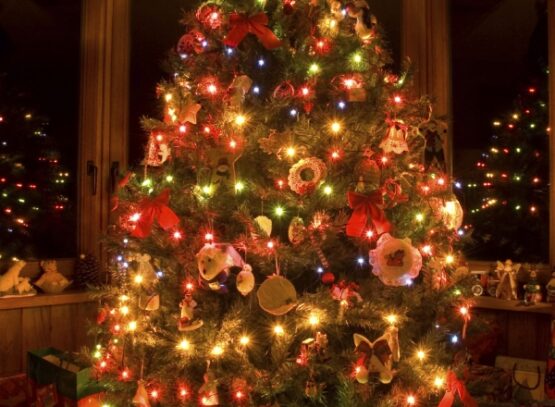 christmas-tree-lighted-with-beautiful-colour-lights