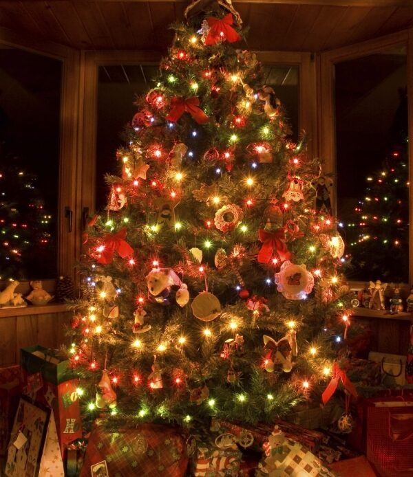 christmas-tree-lighted-with-beautiful-colour-lights