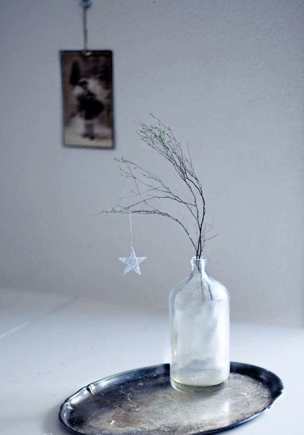 country chic accents branches with a star