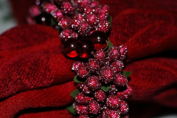 cranberry decoration ideas Napkin Holders