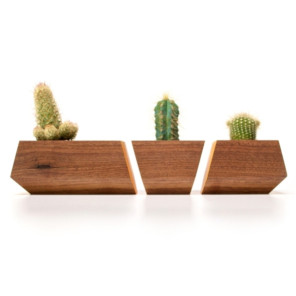 creative stylish home decor ideas succulents