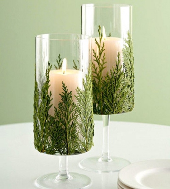 indoor plants decoration glasses evergreens candles
