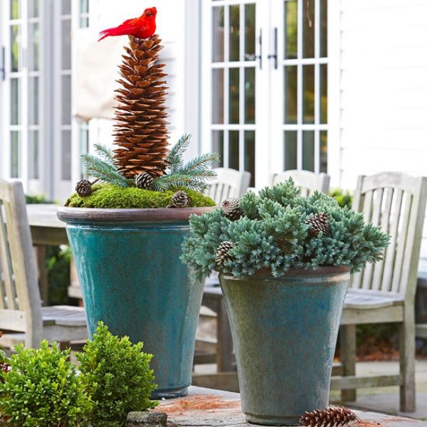 interesting decoration buckets giant fir cone