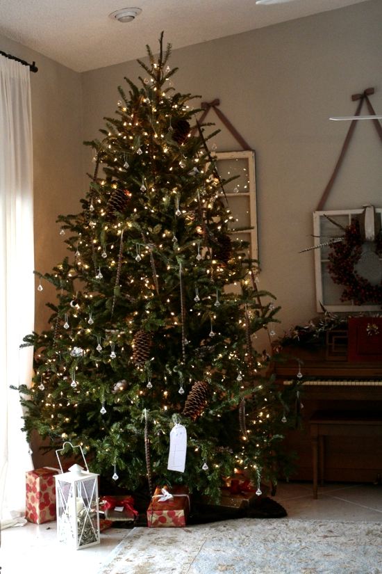 measure your available space when buying a tree