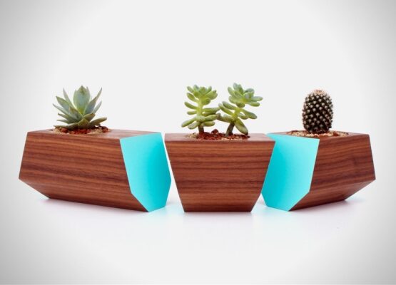 modern-decorating-ideas-stylish-natural-walnut-boxcar-planter-urbilis