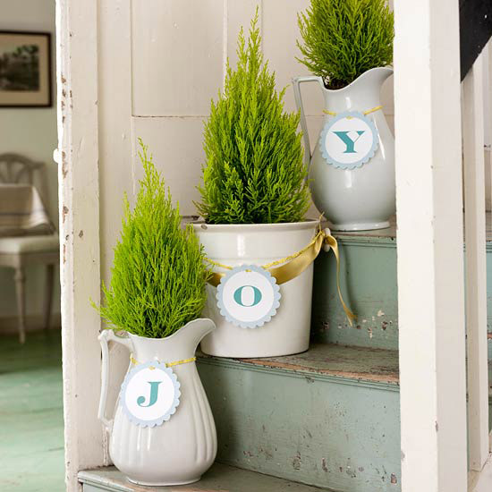 quick mini christmas trees potted white containers