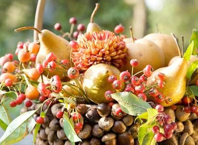 stylesi-thanksgiving-decoration-ideas-acorn-basket-apples-pairs-flowers