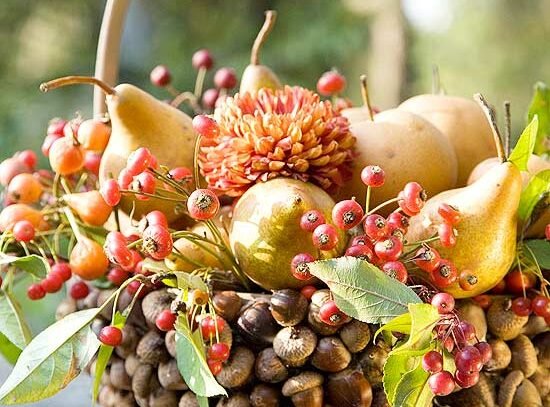 stylesi-thanksgiving-decoration-ideas-acorn-basket-apples-pairs-flowers