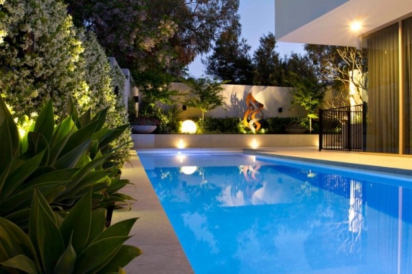 creative modern landscaping star jasmine creepers alongside the pool