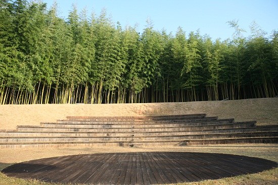 Bamboo plants exterior design ideas public area