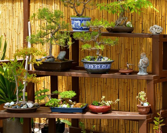 Bamboo garden fence Japanese style landscape ideas bonsai shelves