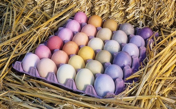 crafts ideas natural dye easter