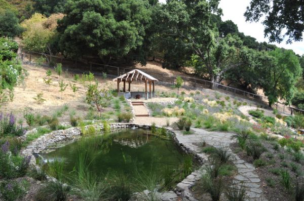 Garden-design-ideas-asian-style-pond-stone-grass-pergola