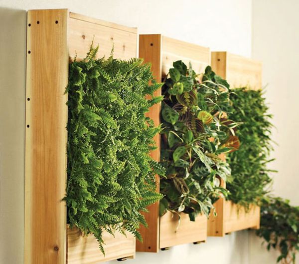 Green wall living plants partition idea indoor garden vertical boards