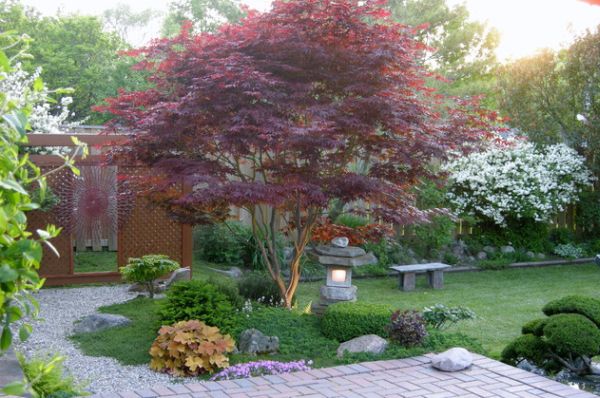 Japanese garden natural elements stone bench backyard landscape