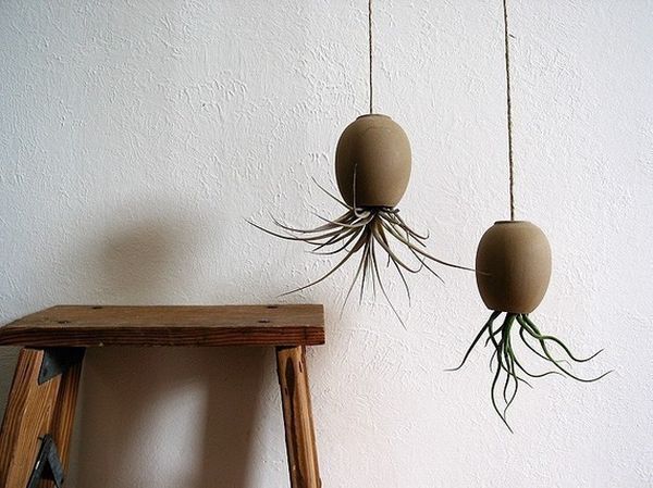 Interesting hanging flower pots ideas Michael McDowell's indoor plants