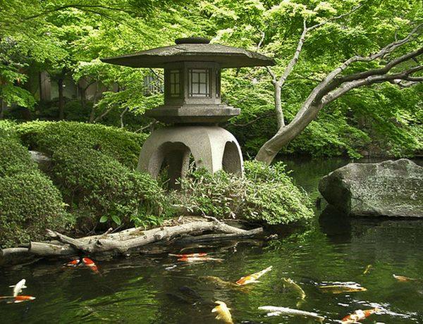 Peaceful japanese garden gold fish pond stone lantern