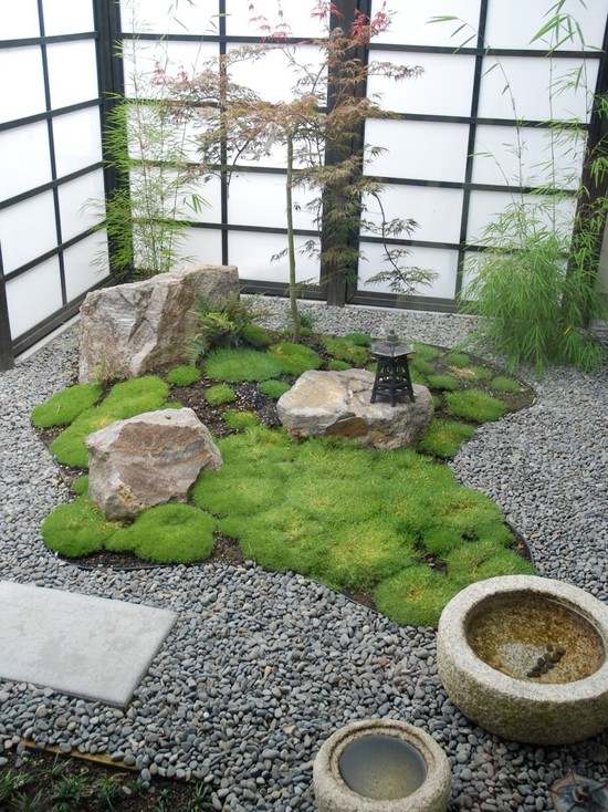 asian style garden idea small bamboo tree