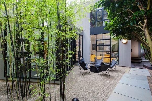 bamboo plants modern patio decor ideas