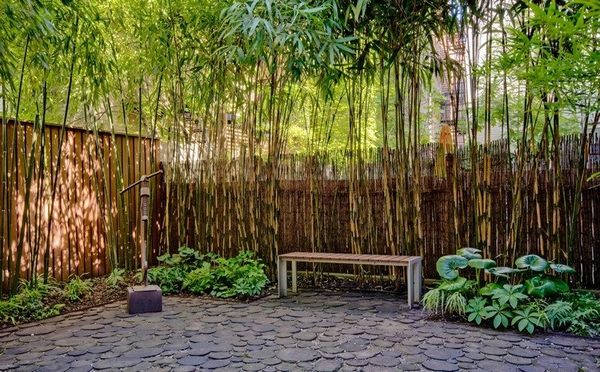bamboo privacy fence garden bench