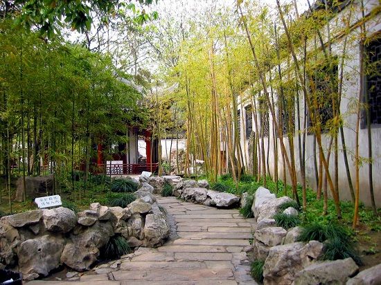 bamboo in the garden landscape design ideas