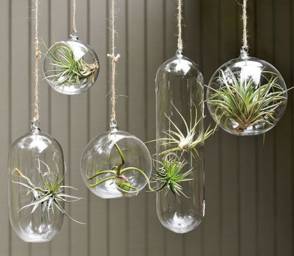 modern home interior design ideas hanging planters glass bubble collection