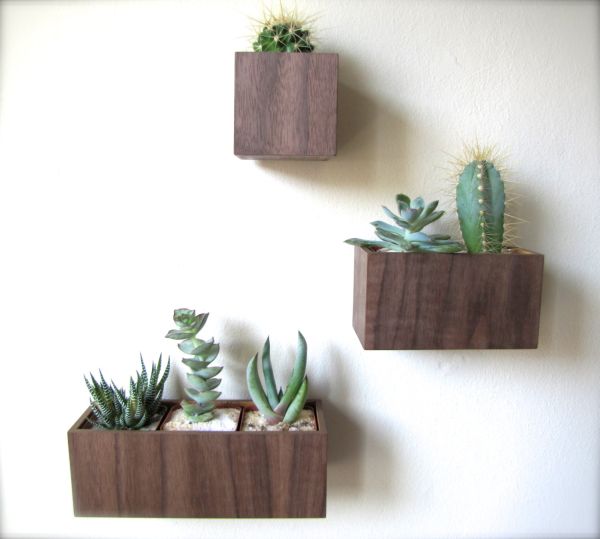 creative interior ideas house plants walnut wall vessels indoor garden cacti