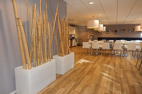 contemporary dining room 