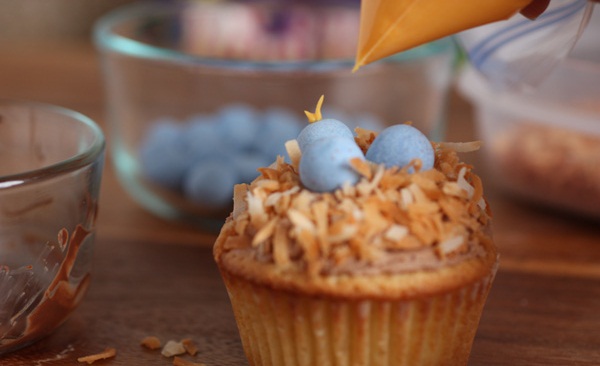 festive easter treats birds nest cupcakes sprinkle coconut