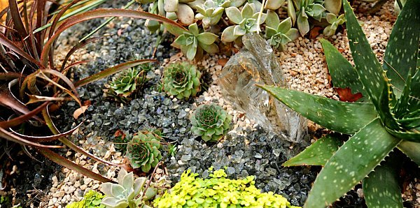 original landscape ideas rock garden succulents