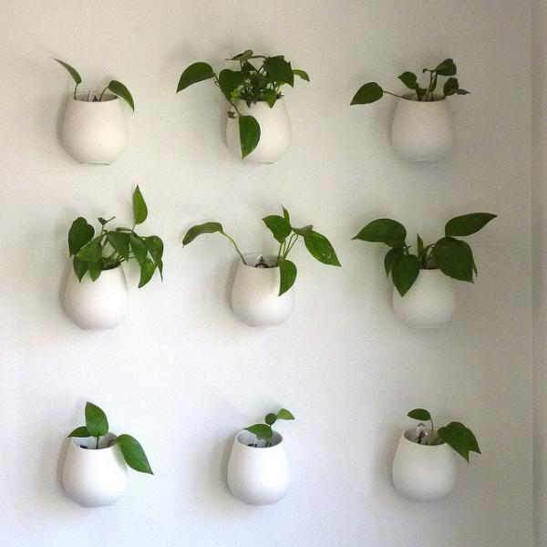 hanging planters indoor garden ideas vertical wall